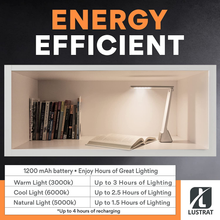 Load image into Gallery viewer, Lustrat LED Desk Lamp - Minimalistic Office Desk Lamp - Rechargeable Lamp with Bed, Study, and Work Desk Light Modes - Portable Table Desk Lamp for Back to School and Work from Home Set-Up - Silver