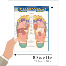 Load image into Gallery viewer, Reflexology (Quick Study Academic)
