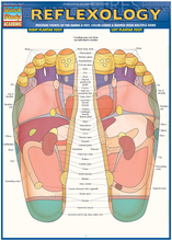 Load image into Gallery viewer, Reflexology (Quick Study Academic)