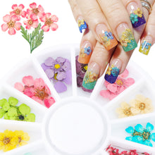 Load image into Gallery viewer, 24PCS/Wheel 3D Nail Art Decoration Dried Flower 3D Manicure Polish