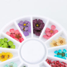 Load image into Gallery viewer, 24PCS/Wheel 3D Nail Art Decoration Dried Flower 3D Manicure Polish