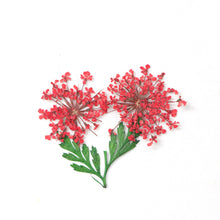 Load image into Gallery viewer, 24PCS/Wheel 3D Nail Art Decoration Dried Flower 3D Manicure Polish