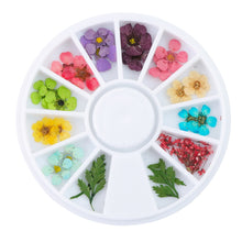 Load image into Gallery viewer, 24PCS/Wheel 3D Nail Art Decoration Dried Flower 3D Manicure Polish