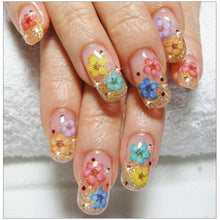 Load image into Gallery viewer, 24PCS/Wheel 3D Nail Art Decoration Dried Flower 3D Manicure Polish