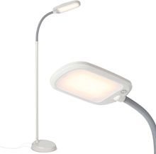 Load image into Gallery viewer, Brightech Litespan Slim - Super Bright LED Lamp for Reading &amp; Crafts - Dimmable Lash Light with 3 Light Colors Incl. Natural Daylight - Adjustable Gooseneck Pole Lamp for Offices
