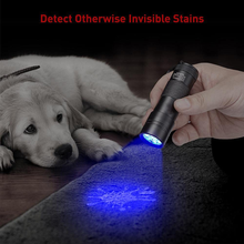 Load image into Gallery viewer, Dorlink UV Black Light Flashlight, Portable Pet Urine Detector, 51 LED 395Nm Handheld UV Flashlights for Dry Stains, Scorpions and Bed Bugs, Free UV Sunglasses and 3 AA Batteries Included (12-Leds)
