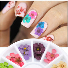 Load image into Gallery viewer, 24PCS/Wheel 3D Nail Art Decoration Dried Flower 3D Manicure Polish
